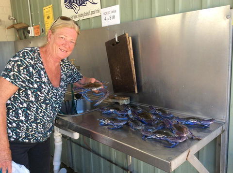 Ceduna Foreshore Caravan Park - Accommodation Rockhampton 28