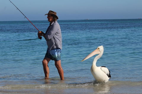 Ceduna Foreshore Caravan Park - Accommodation Rockhampton 21