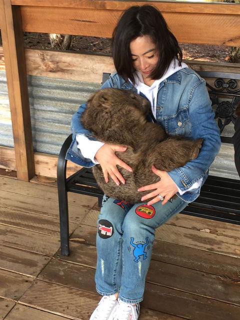 Sea Dragon Kangaroo Island - Accommodation Rockhampton 34