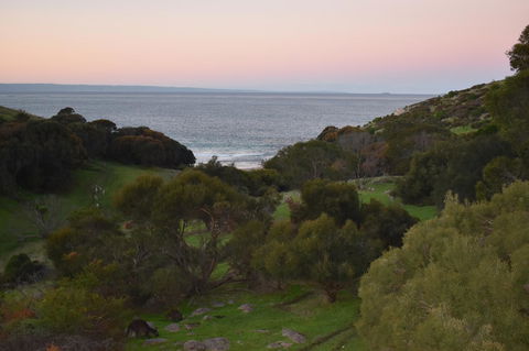 Sea Dragon Kangaroo Island - Accommodation Rockhampton 30