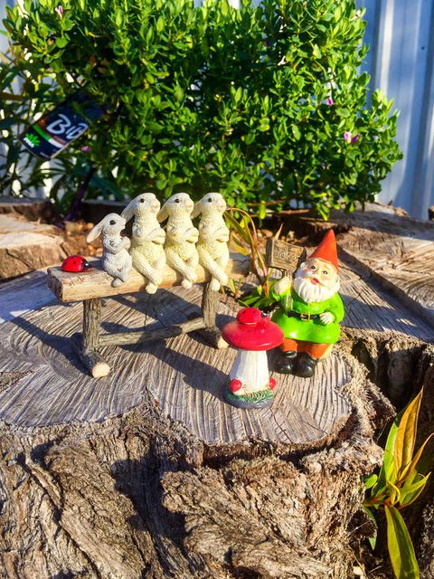 Inglenook Cottage - Accommodation Rockhampton 34