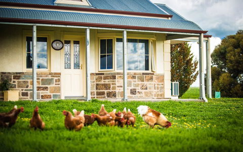 Barossa Vineyard Cottages - Accommodation Rockhampton 40