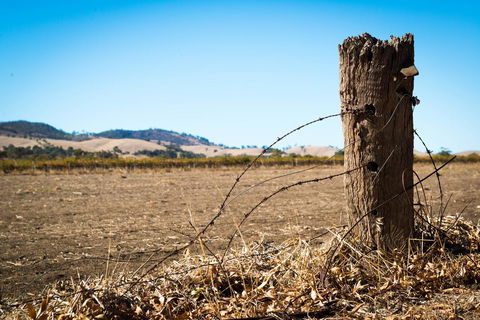 Barossa Vineyard Cottages - Accommodation Rockhampton 5