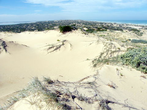 Coorong Waterfront Retreat - Accommodation Rockhampton 32