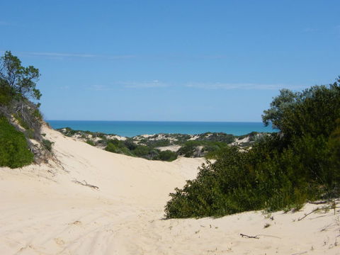 Coorong Waterfront Retreat - Accommodation Rockhampton 23