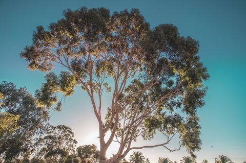 Seppelts View Cabins - Accommodation Rockhampton 24