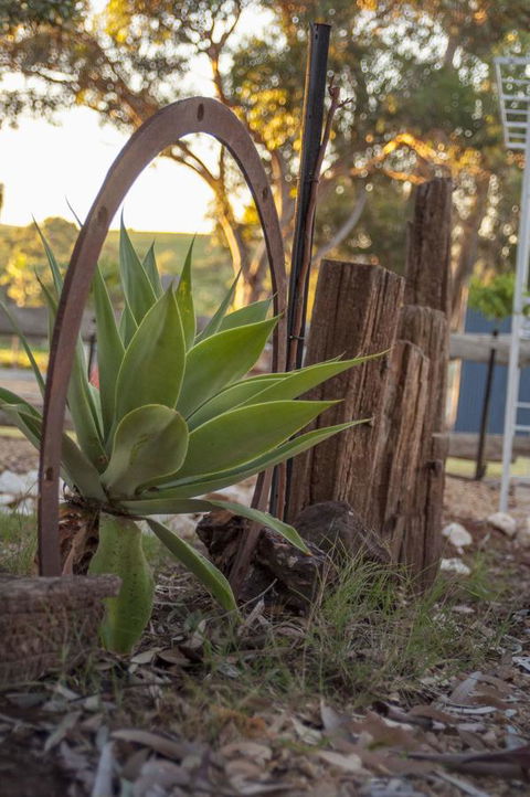 Seppelts View Cabins - Accommodation Rockhampton 37