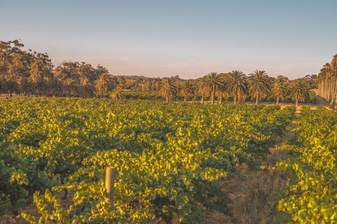 Seppelts View Cabins - Accommodation Rockhampton 8
