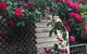 Blyth Cottage Burra - thumb 24
