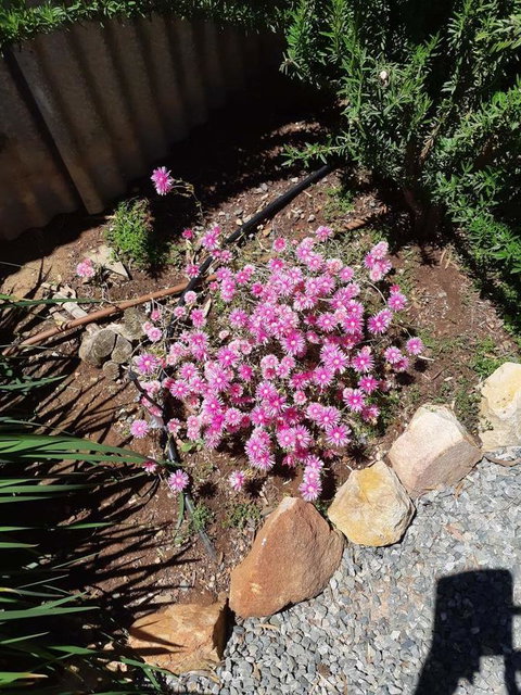 Blyth Cottage Burra - Accommodation Rockhampton 19