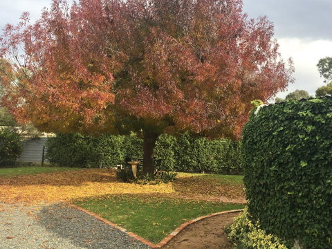 Barossa Retro BnB - Accommodation Rockhampton 30