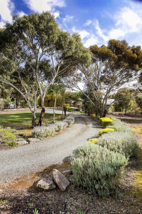 Barossa Retro BnB - Accommodation Rockhampton 4
