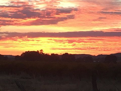 Barossa Retro BnB - Accommodation Rockhampton 21
