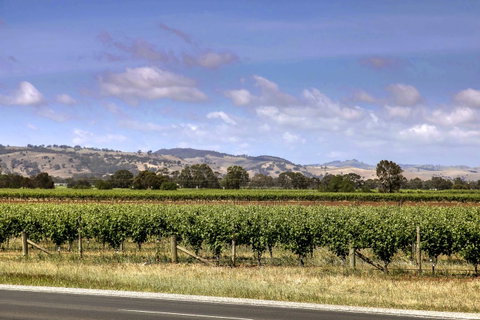 Barossa Retro BnB - Accommodation Rockhampton 2