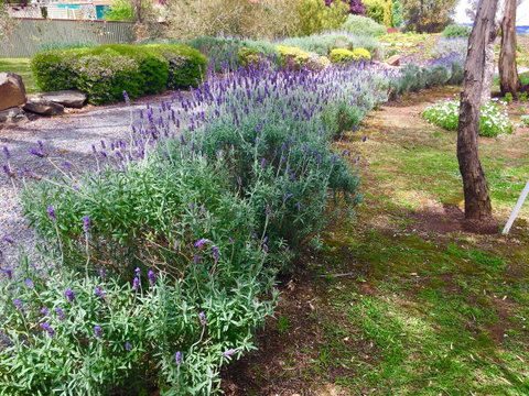 Barossa Retro BnB - Accommodation Rockhampton 23