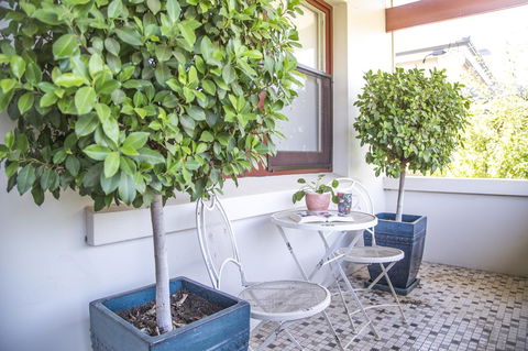Mataro Cottage - Accommodation Rockhampton 2