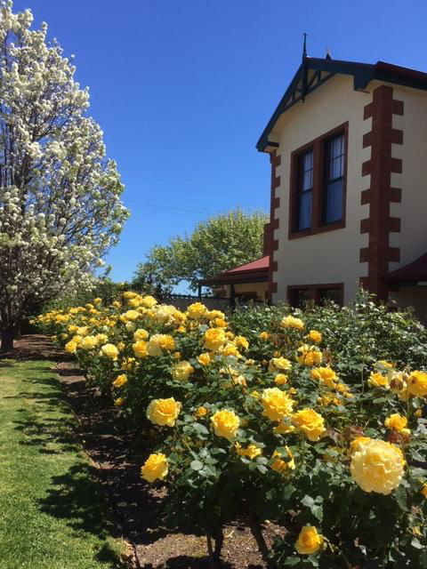 Wine And Roses Bed And Breakfast - Accommodation Rockhampton 5