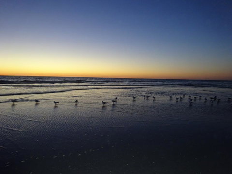 Selene Holiday Apartment @West Beach - Accommodation Rockhampton 6