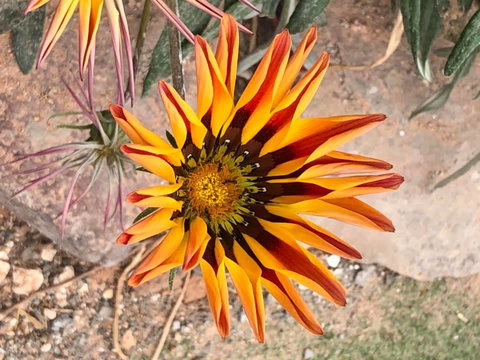 Aussie Opal Diggers Outback Retreat-Undergound - Accommodation Rockhampton 26