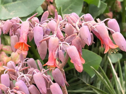 Aussie Opal Diggers Outback Retreat-Undergound - Accommodation Rockhampton 27