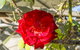 Stoneleigh Cottage Bed And Breakfast - thumb 16