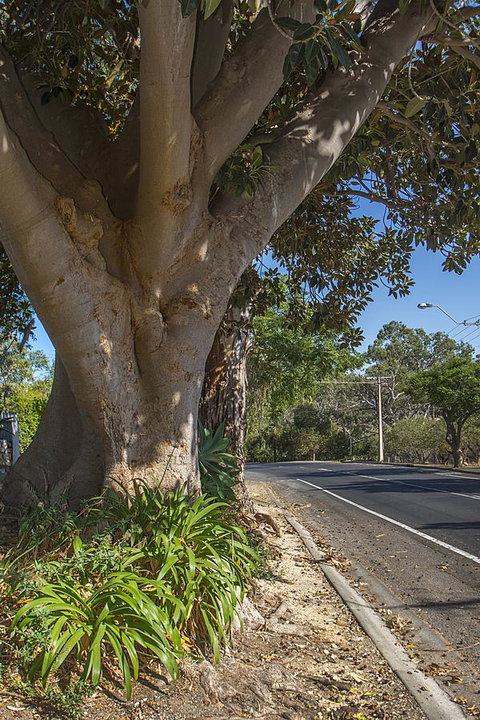 Stoneleigh Cottage Bed And Breakfast - Accommodation Rockhampton 25