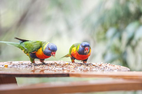 Smiths Lake House - Accommodation Rockhampton 18