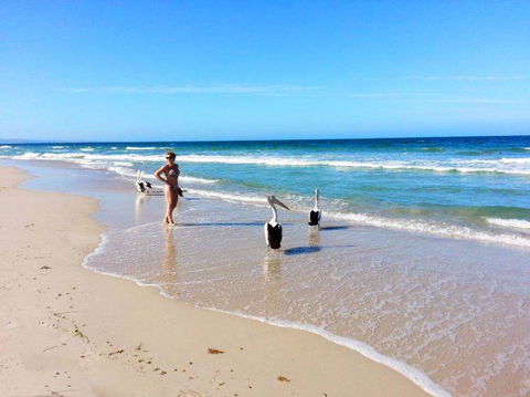 Atlantic West Beach Apartments - Accommodation Rockhampton 22