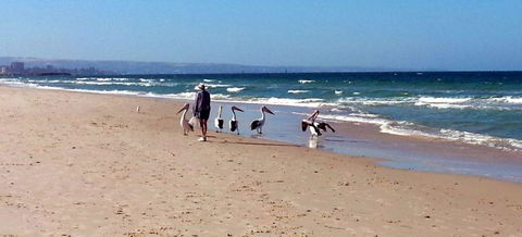 Atlantic West Beach Apartments - Accommodation Rockhampton 20