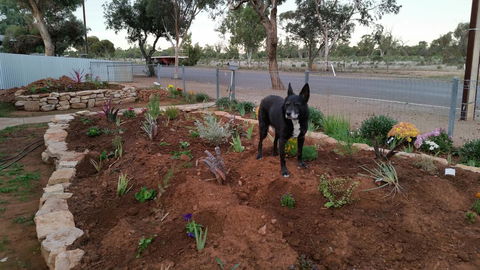 The Quorn-er House - Accommodation Rockhampton 6
