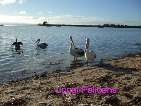 Casuarina Coastal Units - Accommodation Rockhampton 23