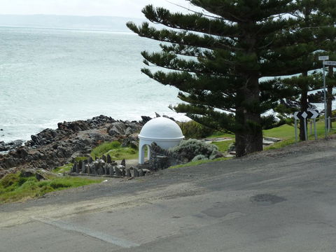 SeaShells Penneshaw - Accommodation Rockhampton 43
