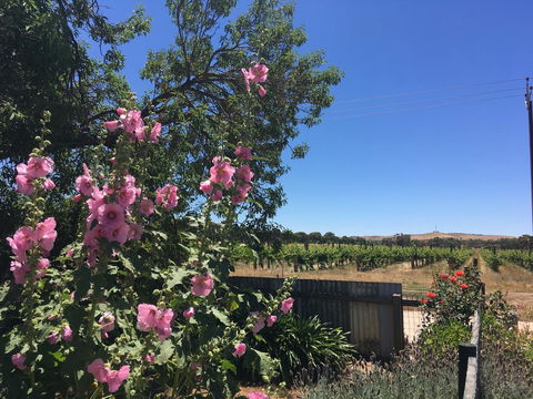 Amy\'s House Bed & Breakfast - Accommodation Rockhampton 29