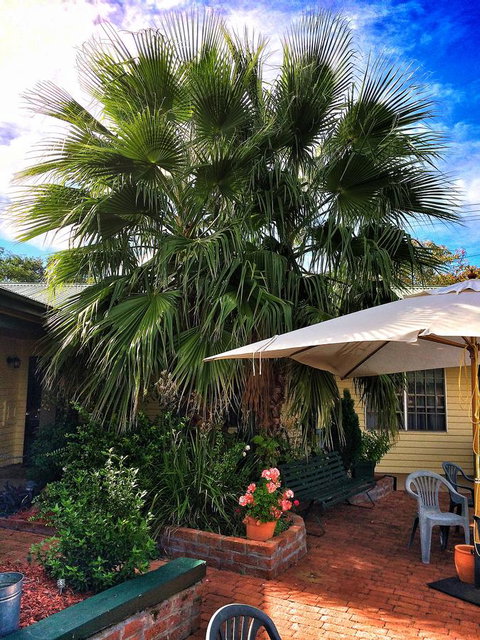 Ten Dollar Town Motel - Accommodation Rockhampton 17