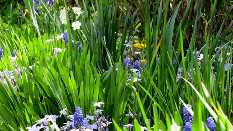 The Pig And Whistle - Accommodation Rockhampton 23