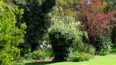 The Pig And Whistle - Accommodation Rockhampton 19