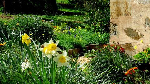 The Pig And Whistle - Accommodation Rockhampton 20