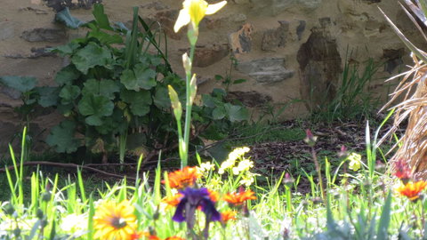 The Pig And Whistle - Accommodation Rockhampton 17