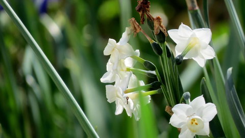 The Pig And Whistle - Accommodation Rockhampton 21