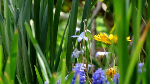 The Pig And Whistle - Accommodation Rockhampton 22