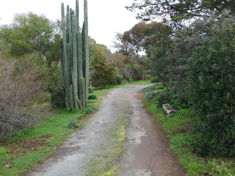 The Pig And Whistle - Accommodation Rockhampton 37