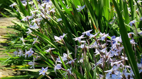 The Pig And Whistle - Accommodation Rockhampton 24