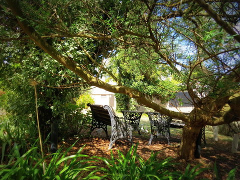 The Pig And Whistle - Accommodation Rockhampton 4