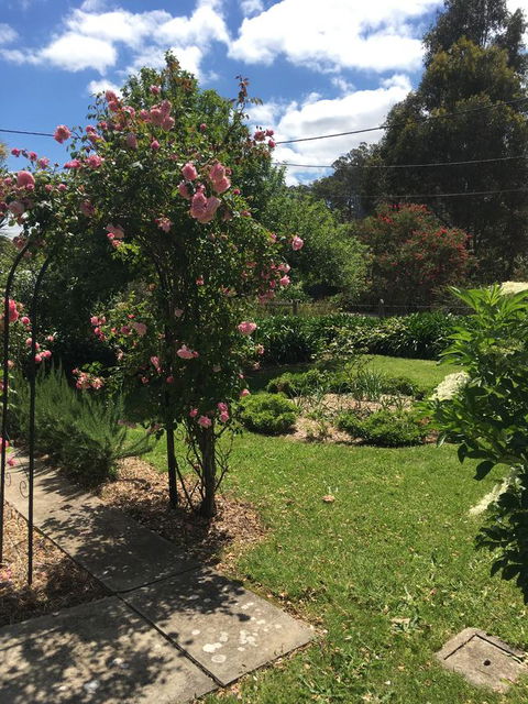 Hilltop Too - Accommodation Rockhampton 13