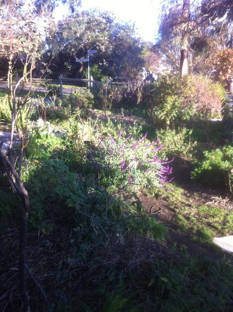 Hilltop Too - Accommodation Rockhampton 12