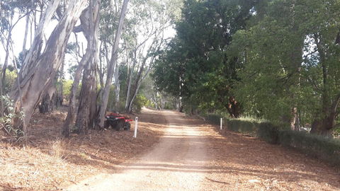 Taralee Orchards - Accommodation Rockhampton 4