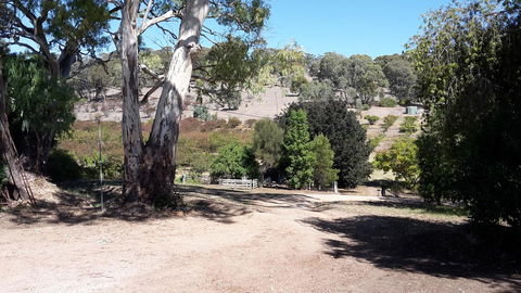 Taralee Orchards - Accommodation Rockhampton 3