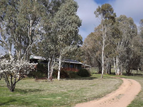 Taralee Orchards - Accommodation Rockhampton 9