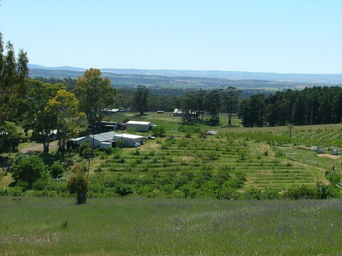 Taralee Orchards - Accommodation Rockhampton 0