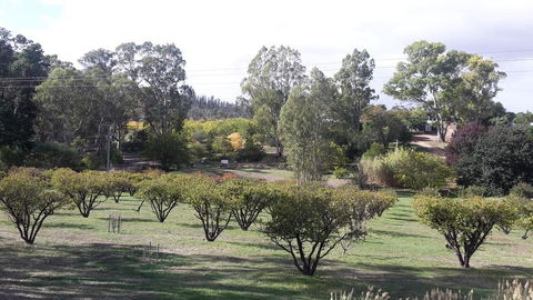 Taralee Orchards - Accommodation Rockhampton 1